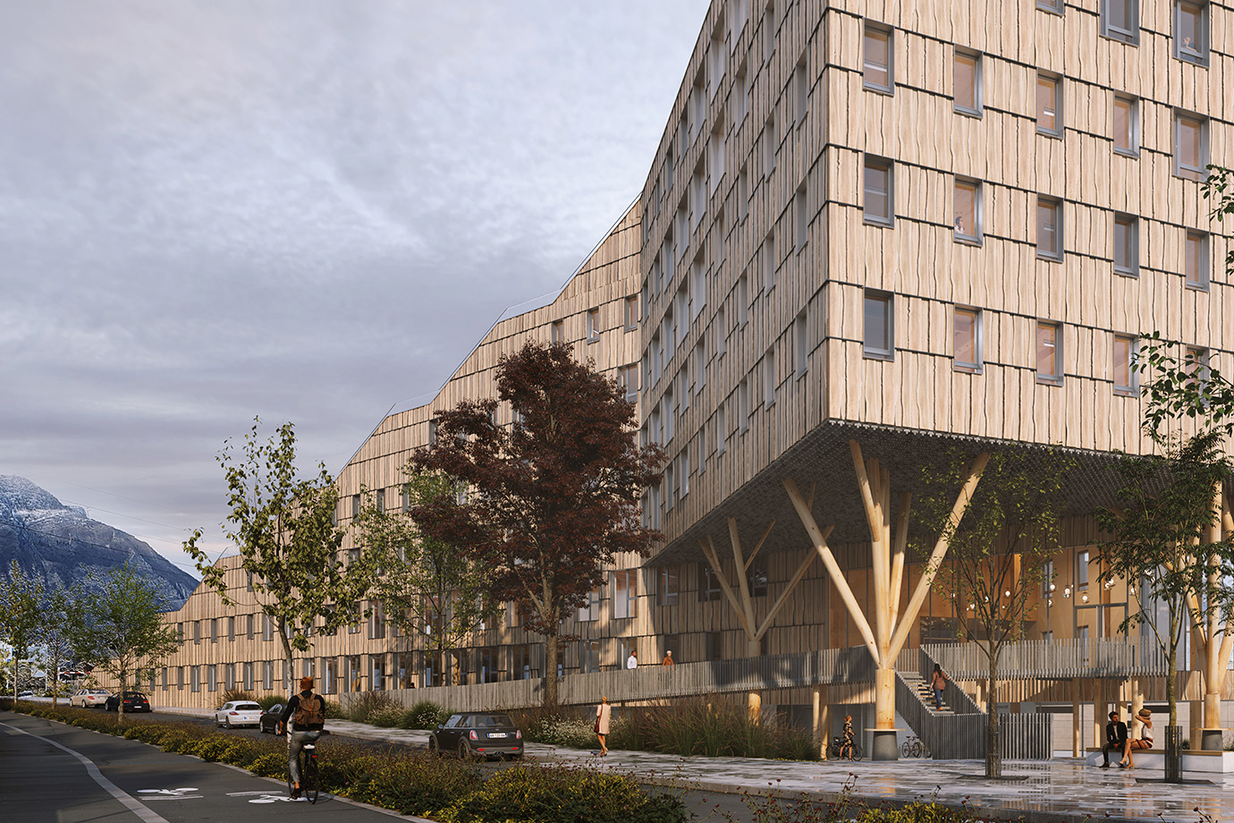 Grenoble_wood©ECDM et Jeudi Wang