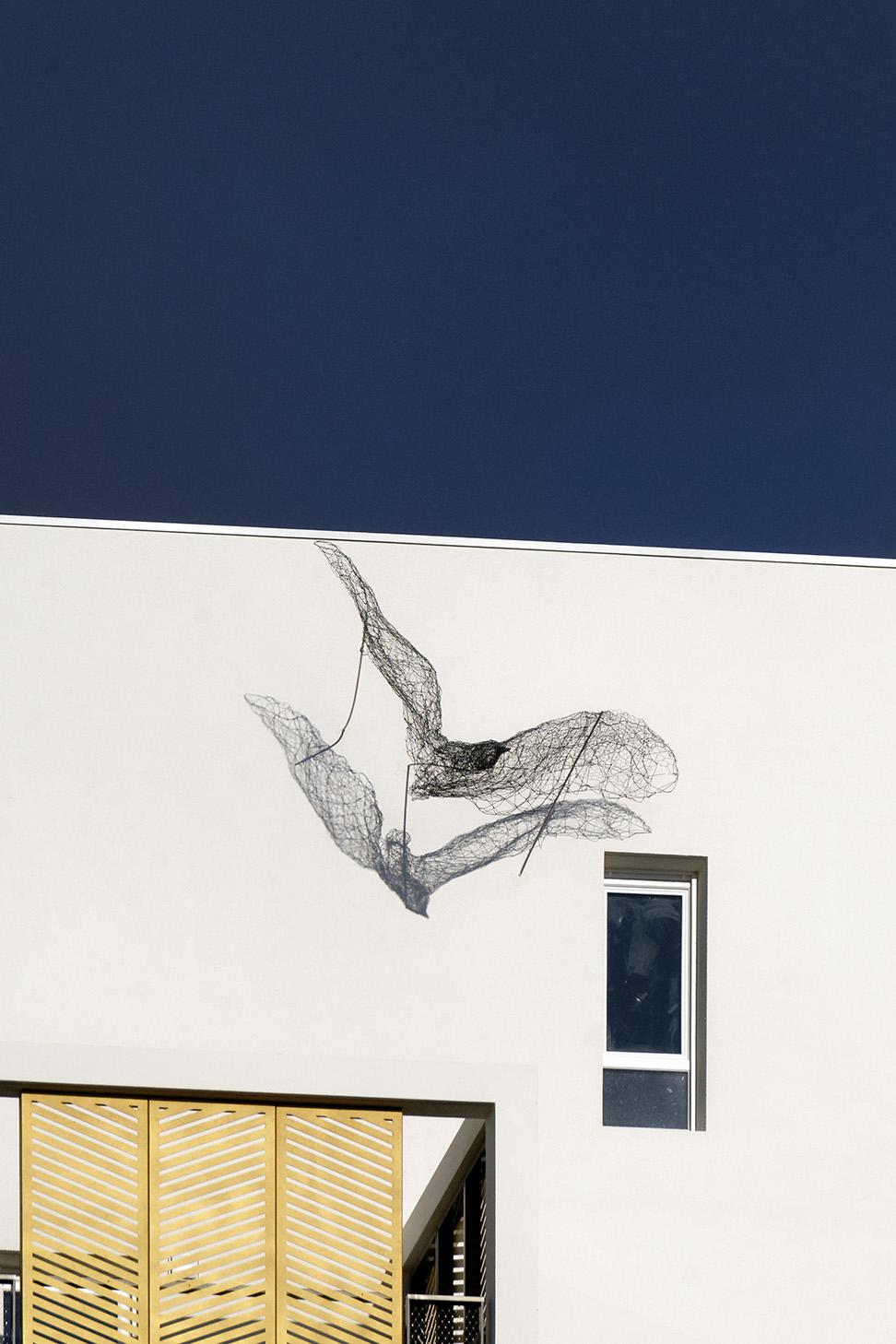 Marsiho-oiseau©Jerome Cabanel